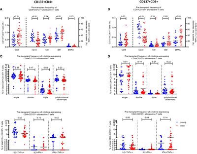 Older age is associated with a distinct and marked reduction of functionality of both alloreactive CD4+ and CD8+ T cells